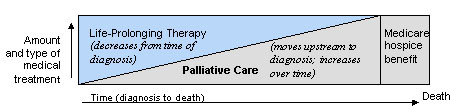 palliative care vs life-saving therapy